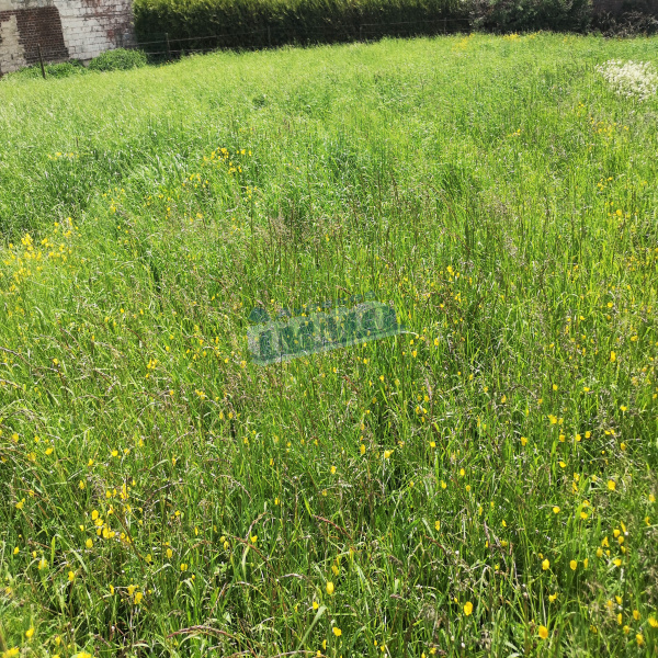 Offres de vente Terrain Hermaville 62690