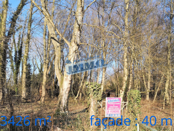 Offres de vente Terrain de loisir Aubigny-en-Artois 62690