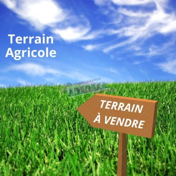 Offres de vente Terrain agricole Ambrines 62127