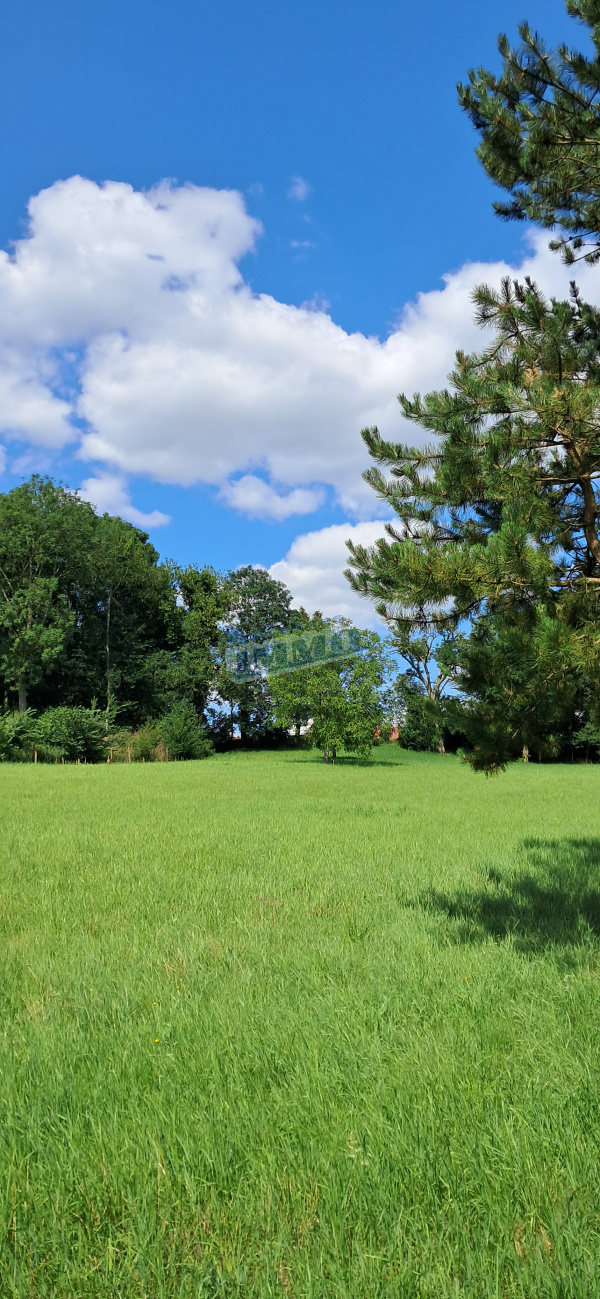 Offres de vente Terrain Saint-Michel-sur-Ternoise 62130