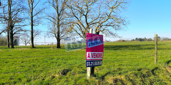 Offres de vente Terrain à batir Avesnes-le-Comte 62810