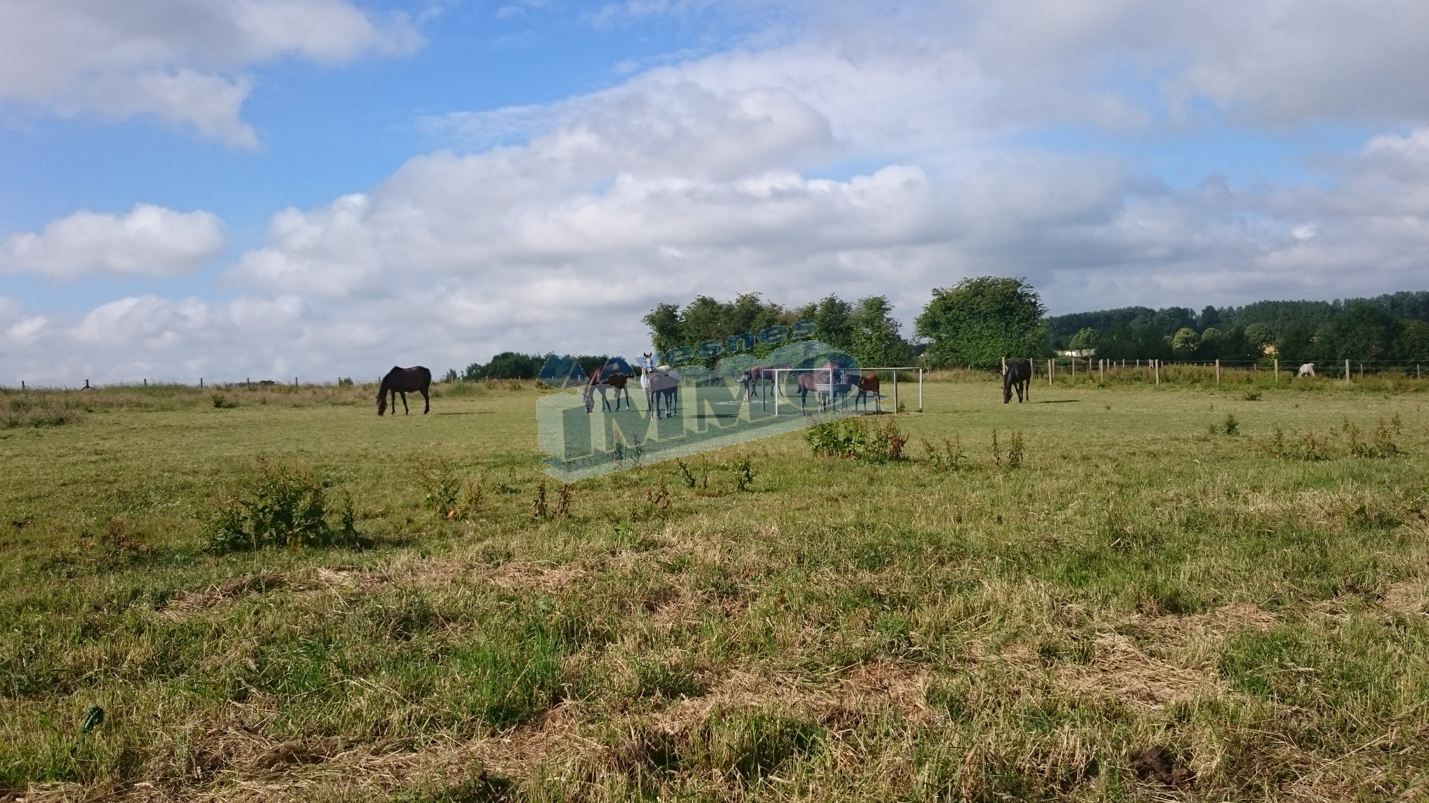 Agence immobilière de Agence Avesnes Immo